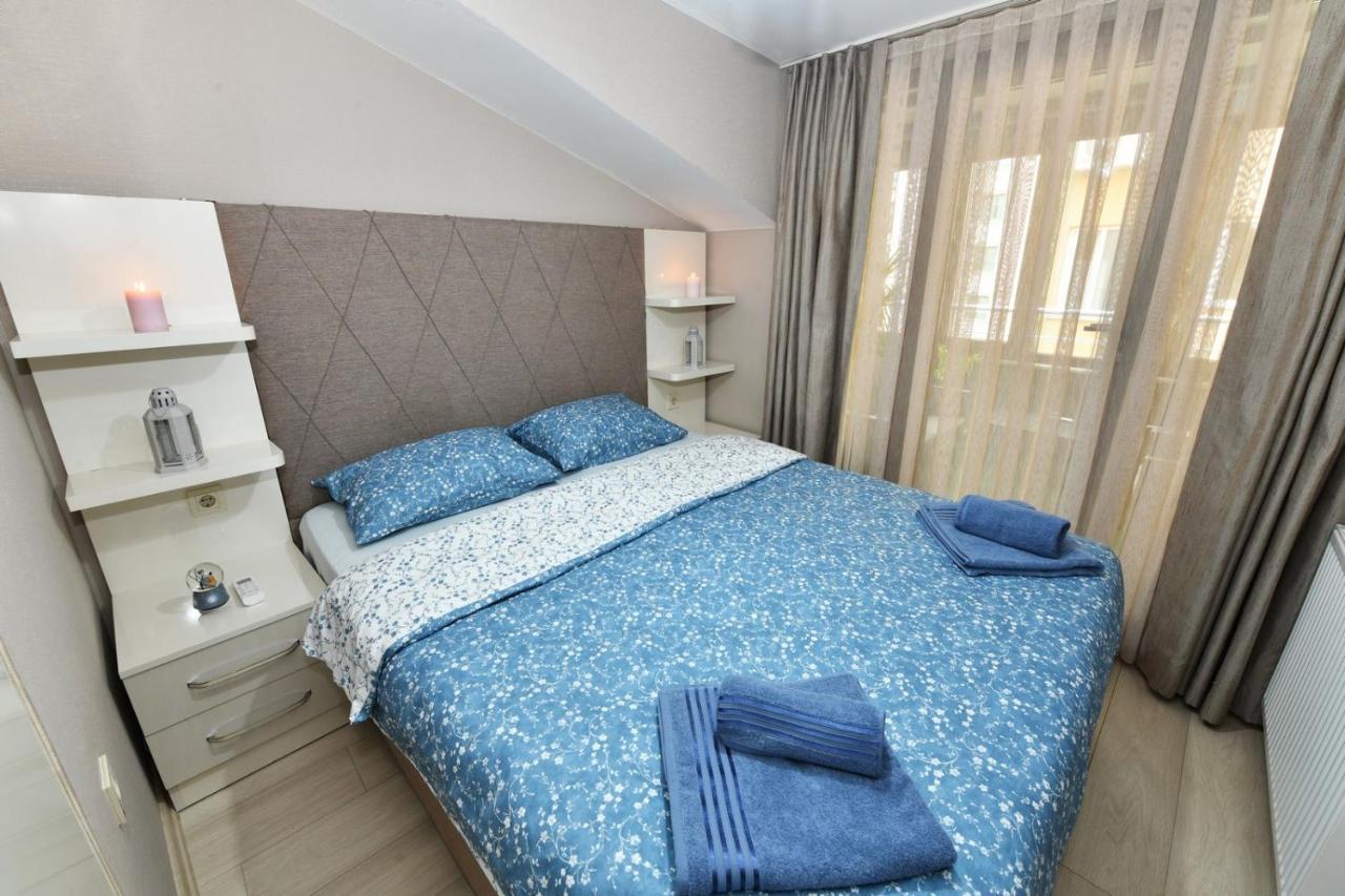 Daire Colorıst
