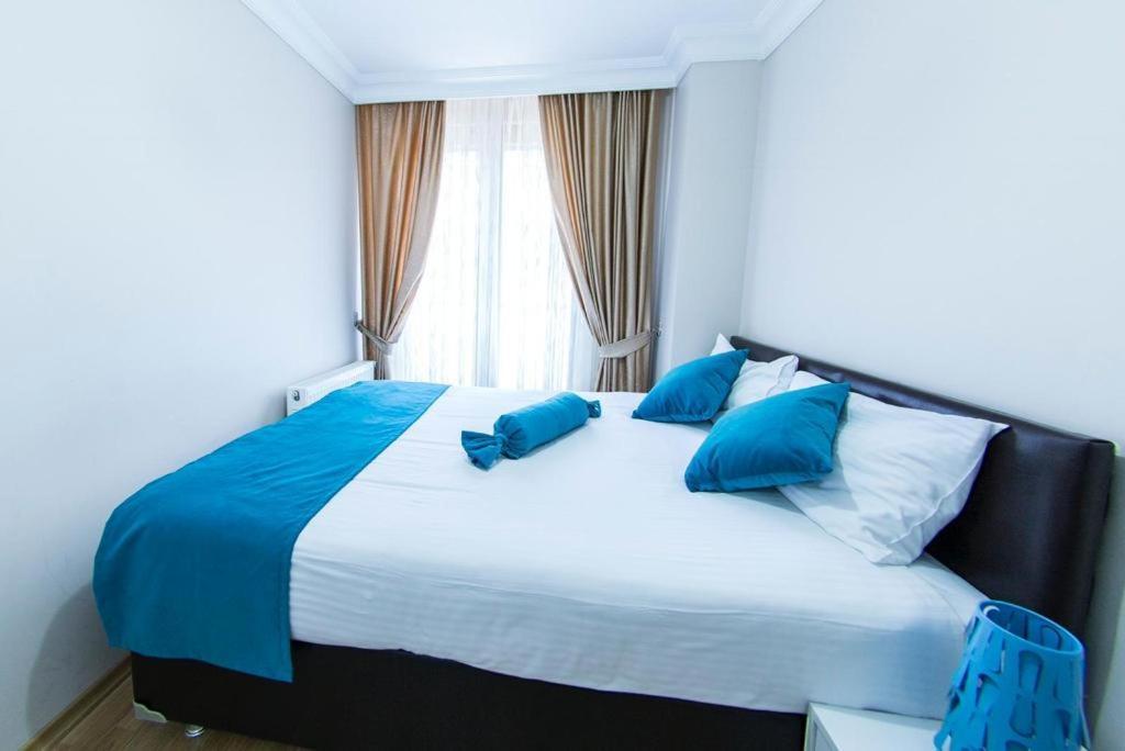 Colorıst Daire