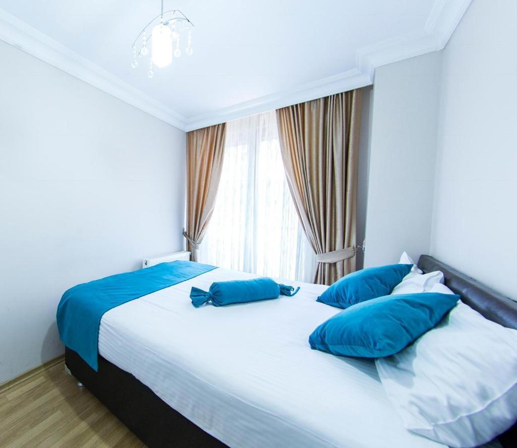 Colorıst Daire